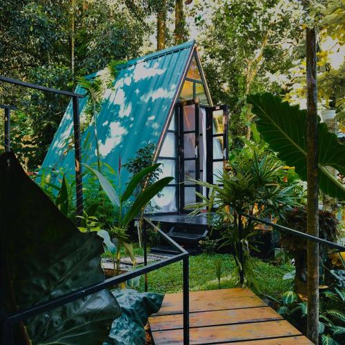The WE2 - Wildwood Elegance Escape, Bentota (fotografie 4)