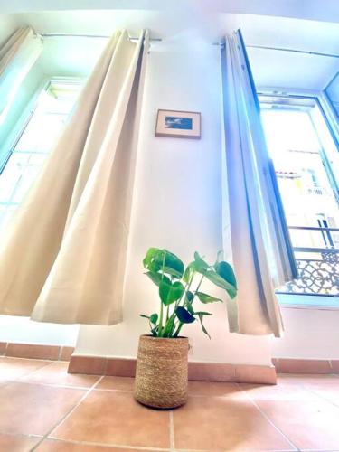 Votre pied-à-terre à Marseille T3 cosy à deux pas du Vieux-Port, Marseille (photo 8)