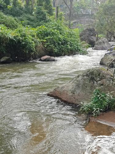 Suryas Home Stay - Munnar