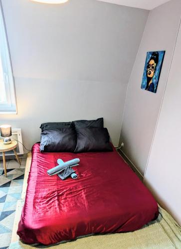 Jolie chambre tout confort et calme ! à pied , 5min de la gare ! de la cathédrale ! et des bords de Loire ! localisation top ! MAIS merci de BIEN lire ma présentation personnelle, car le site impose la sienne, lire jusqu'à section profil - Pension de famille - Nevers