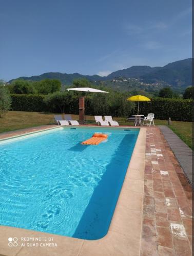 Ringo, the true Tuscany Country House, Capannori (zdjęcie 4)