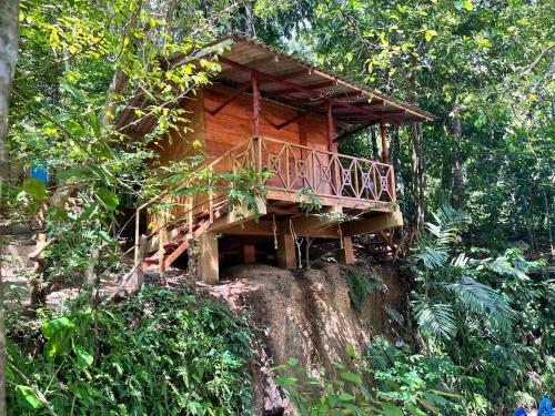 Double Room with Garden View room in Gioia House