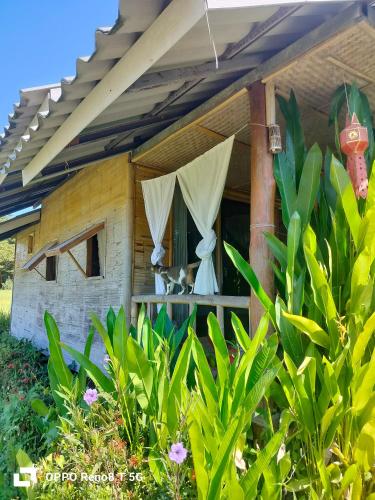 Tulip Resort in Wiang Nuea