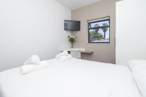 Metropole Shared Space With Private Room