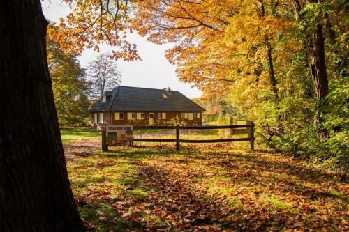 Tussen Heide en Bos vlakbij Sentower Park - Chambre d'hôtes - Oudsbergen 