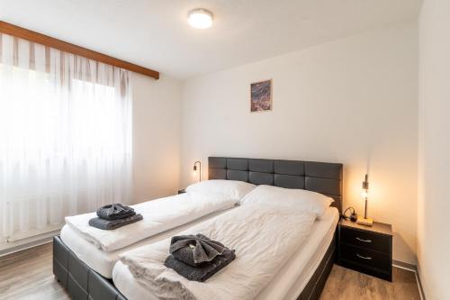 Fabi`s Horu Lodge, Zermatt (photo 2)