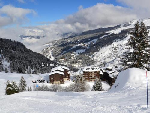 Duplex Calme 3 Pieces, 6/7 Pers. - FR-1-182-114 in Meribel Mottaret