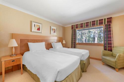 2 twin beds, 1 sofa bed