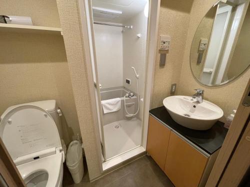 Deluxe Twin Room image 9