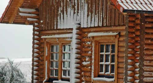 Blockhausferien Rügen - Meerblick - image 13