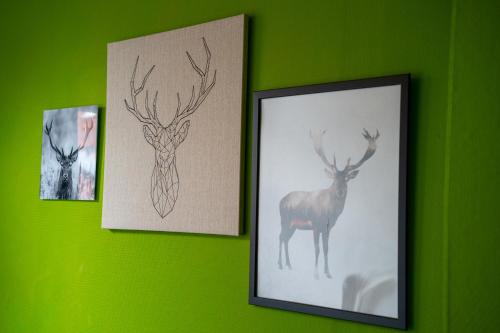 Simplon Hostel - image 6