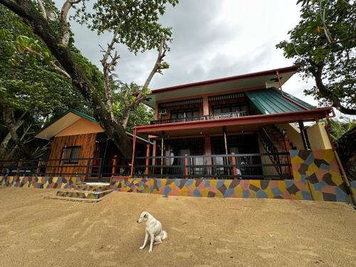 Fabregas Beach Cottages 5