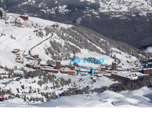 Appartement renove 3 pieces, au pied des pistes, oriente sud, proches commerces - FR-1-455-10 in La Plagne