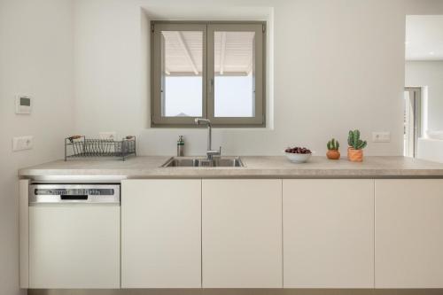 Luxurious Villa Ioli Paros