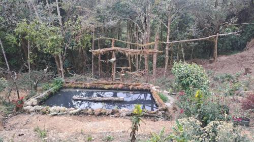 Dārzs, S Natura Birding and Photography in Laese