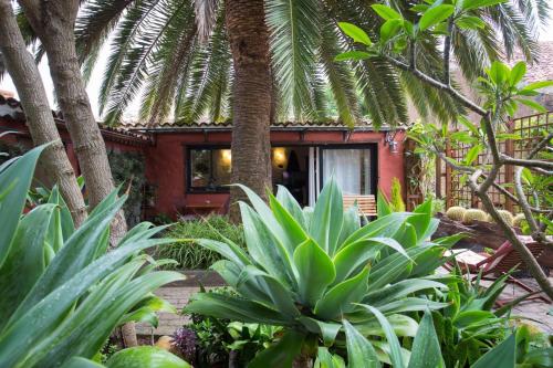 Casa Palmera - Private Paradise