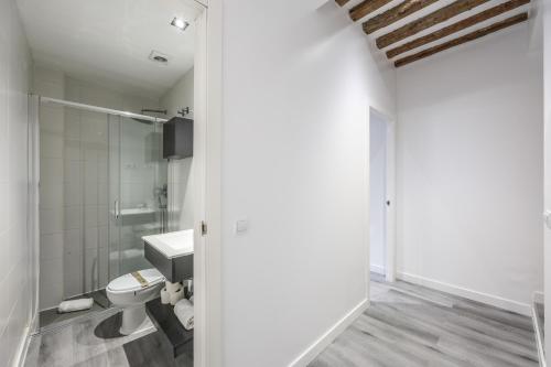 Password to Madrid Gran Vía Room Type - Large Double Room