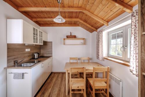 廚房, Resort Vysoká Lípa - Stodola, Chalupa - Barn, Cottage (Resort Vysoka Lipa - Stodola, Chalupa - Barn, Cottage) in 耶特里確維察烏德奇納