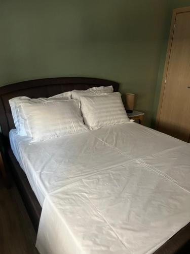 Drama's nest Drama's nest