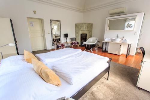 Hotel Villa Nečas Žilina 5