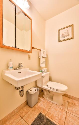 Spacious 3 BR Condo Steps Away From Slopes - image 14