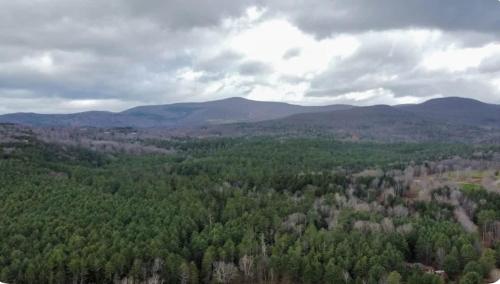 Windham Cabin 5 mins to Mtn with 2 Fireplaces & Games in Windham, USA