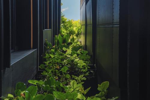 The Click Clack Hotel Medellín