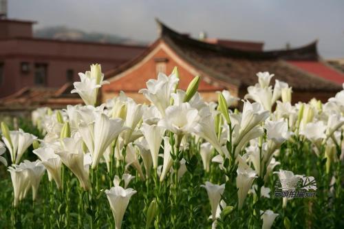 馨悅民宿, Jinning (foto 8)
