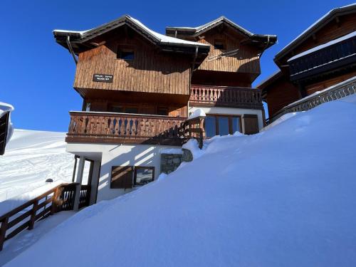 Chalet d'exception rénové, sauna et prestations luxe - FR-1-455-237 (Chalet d'exception renove, sauna et prestations luxe - FR-1-455-237) in La Plagne