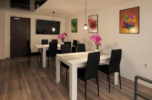 Hostel Old Town, Bratysława (zdjęcie 9)