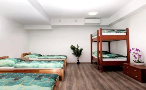 Hostel Old Town, Bratysława (zdjęcie 5)