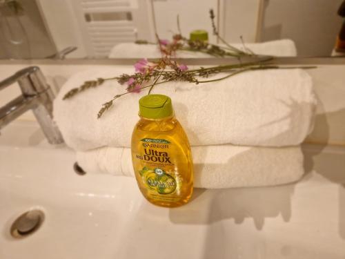 Suite luxury jacuzzi chambre d'hôte Conflans-Sainte-Honorine
