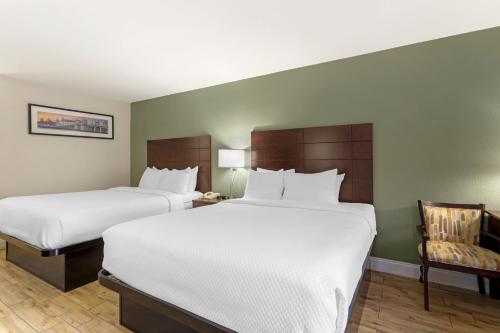 Quality Inn & Suites St Augustine Beach - image 10