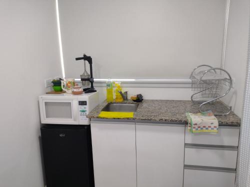 Mono ambiente Rincon de Mina in Barrio Zacagnini