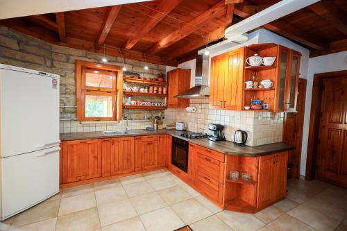 Zhivka House - image 13