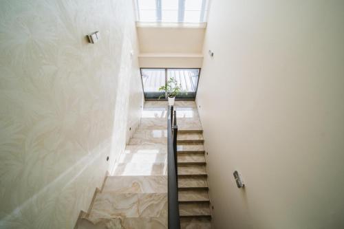 Pansion Lipa – Blato, DC