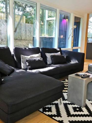 Fall-Winter Mid-Century Modern Relaxing, Retreat in Silver Spring, USA