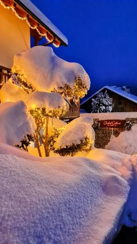 Exterior view, Chalet Catina - Karnten Card im Sommer inklusive - in Bad Kleinkirchheim