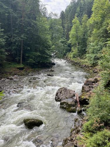 FEWO Allgäu Chalet mit Schwimmbad und Sauna