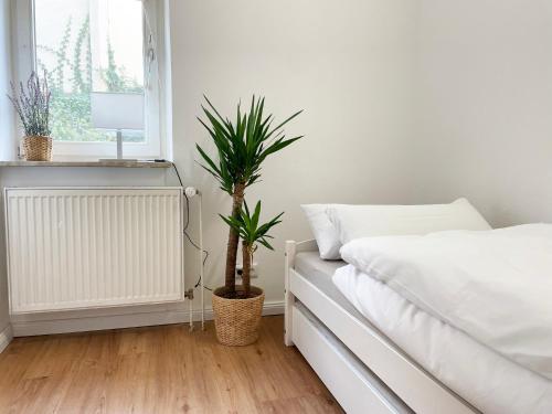 Rooms 34, Schweinfurt (Foto 2)