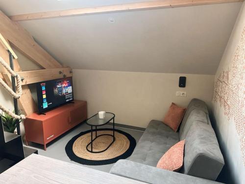 Koplietošanas atpūtas telpa ar TV, La mezzanine in Foucherans (Franche-Comte)
