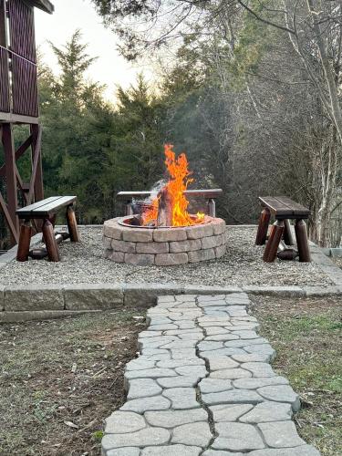 Bear Country Cabin in Sevierville, USA