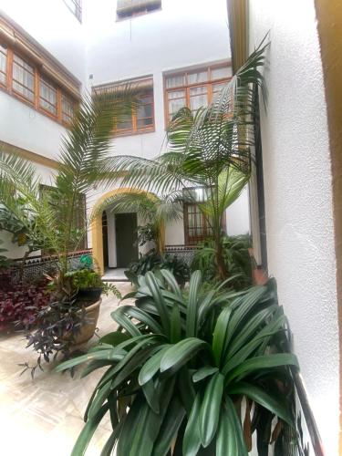 La casa de Tachi, Córdoba (fotografie 4)