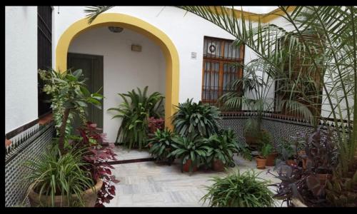 La casa de Tachi, Córdoba (fotografie 9)