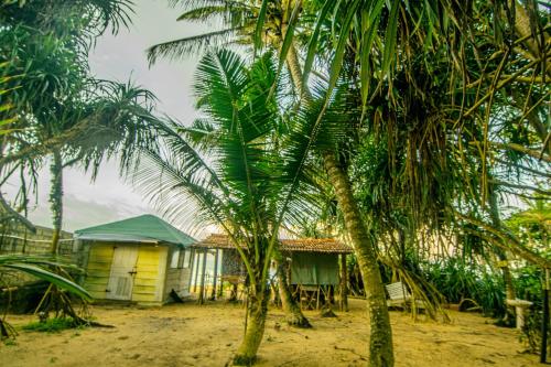 Hikkaduwa backyard beach homestay
