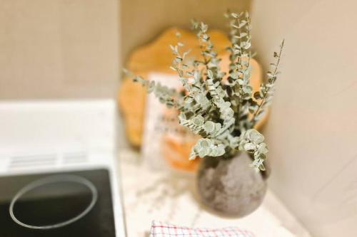 Palm Cove Villa- 2 mins walk to beach