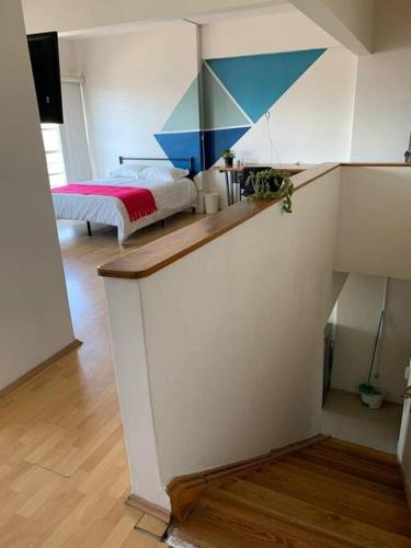 Cozy apartment in Col del Valle in Mexico City, Mexico