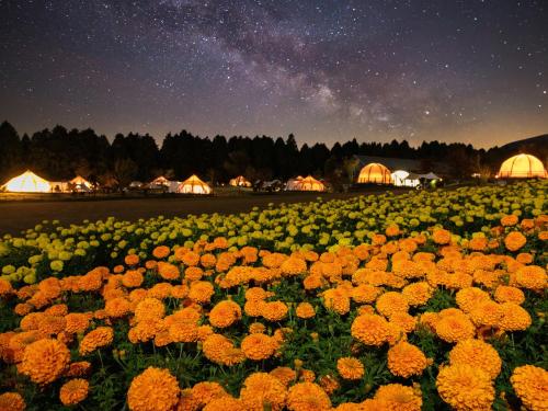 . くじゅう花公園 グランピングパーク花と星