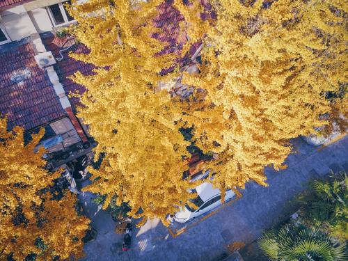 Shanghai Hills & Gefii Kumomon Family BNB with 3bedrooms, Shanghai (Foto 6)