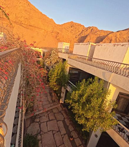 Dahab Bay hotel - صورة 4